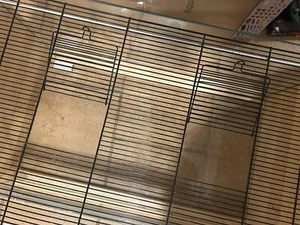 Käfig Hamster/ Terrarium - Bild 1 von 4