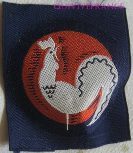 IP1161 - INSIGNE tissu COMPAGNONS DE FRANCE - Picture 1 of 2