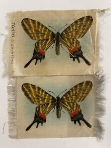Butterfly Brown Yellow Black Red Flame Lot 2 Butterflies Tobacco Silk Tokio 0069