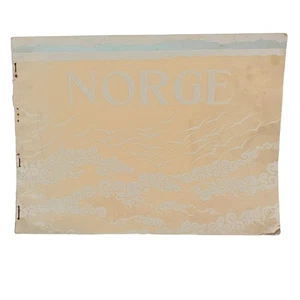 NORGE Norwegian Photos by Mittet & Co RARE 1913 Bookblock Tourist Photo Book - Picture 1 of 10