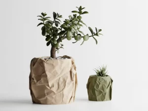 Crumpled Paper Look Planter Round | Kitchen Home Bedroom Gift For Mini Plants 3D - Picture 1 of 9