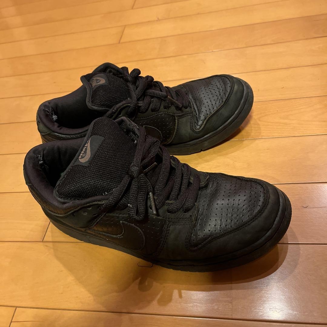 Nike Dunk Pro SB Low Gino 2 for Sale | Authenticity