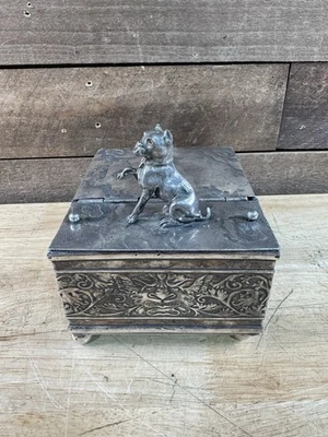 Antike 1887 Derby Silver Co. Silberplatte Bulldogge Mops Tabakdose Humidor  - Bild 1 von 4