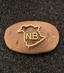 New Brunswick Province Landmass Outline NB Brown Plastic Lapel Pin - SP3 - Picture 1 of 4