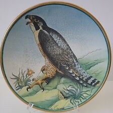 Peregrine Falcon Bird Series Pottery Plate L. E. Artist V. Tiziano Veneto Flair