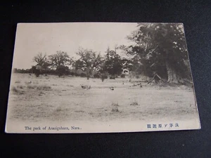 Vintage Postkarte Asazigahara Park Nara Japan Asien Fernost - Bild 1 von 2
