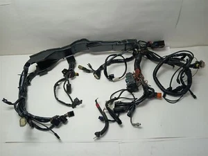 Arnés de cableado principal Harley-Davidson Road Glide 2012 ABS 70127-10A - Imagen 1 de 14