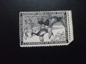 1954 1955 US Bund Zugvogel Jagd Briefmarke Ring Hals Ente - Bild 1 von 2