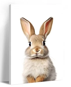 Bunny Canvas Wall Art Nursery Wall Decor Cute Rabbit Picture White Poster Ani... - Picture 1 of 6
