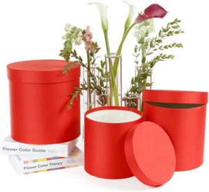 Set of 3, round Flower/Gift Boxes, Boxes for Flower Arrangements with Plastic Li - Picture 1 of 1