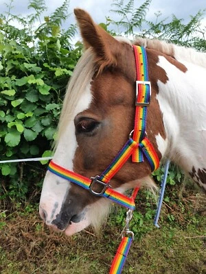 Rainbow Pattern Polypropylene Webbing Headcollar Shetland Size - Image 1 of 4