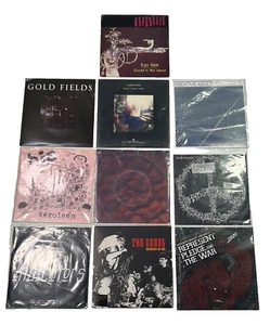 Lot of 10 ~ Punk Rock ~ 7" Vinyl ~ EP's w/Picture Sleeves & Inserts NM - Picture 1 of 2