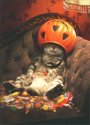 Cat Under Candy Bucket Funny Halloween Card - Greeting Card by Avanti Press