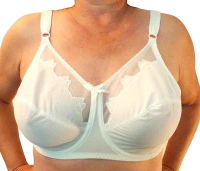 GOOD FIND!!! BALI FLOWER VINTAGE WHITE SHEER UNDERWIRE BRA 36DDD 36F NWT - Image 1 of 4