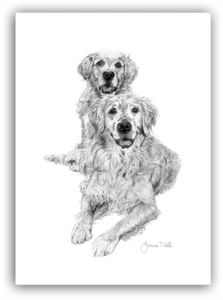 GOLDEN RETRIEVER GREETINGS CARD - From Original Drawing By Artist Joanne T Kell - Picture 1 of 2