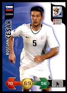 Panini World Cup 2010 Adrenalyn XL - Bostjan Cesar (Slovenia) - Picture 1 of 2