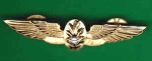 NAVY / MARINE FLIGHT SURGEON WING - Picture 1 of 1