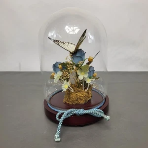 Vintage Taxidermie Schmetterling in Glaskuppel Display Sockel getrocknete & künstliche Blumen blau - Bild 1 von 14