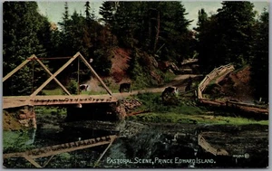 Postcard Prince Edward Island c1910s Pastoral Scene Cows Grazing Bridge River - Picture 1 of 2