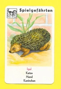 Carte allemande - Spielgefährten - Igel - Picture 1 of 2
