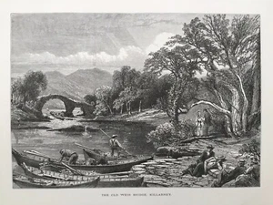 Stampa antica 1875; Old Weir Bridge, Killarney, Irlanda dopo Skelton - Foto 1 di 2