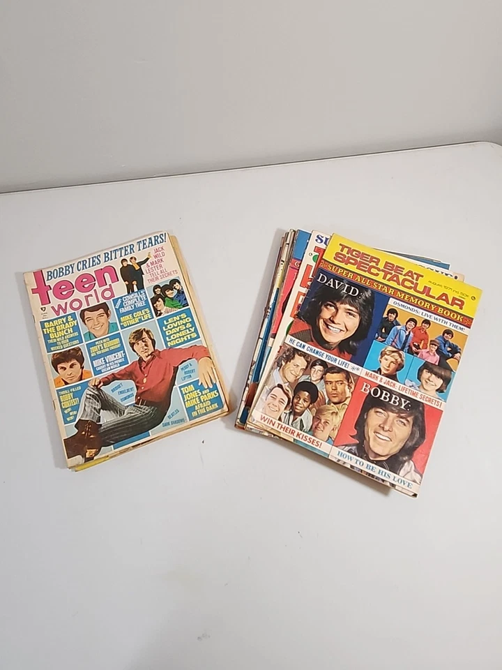 Vintage Lot Of 14 Tiger Beat & Teen World Magazines - Image 1 of 4