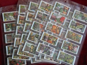 Flowering Trees & Shrubs Wills Cigarette cards 1924 X50 full set sleeved GD/VGC