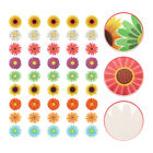 45 Summer Sunflower Cutouts for Bulletin Boards and Walls