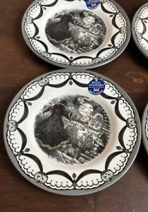 Royal Stafford Witch By Casting Spell Moon Halloween 8 Pc Dinner Set - Picture 1 of 1