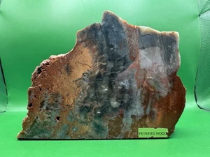 Beautiful Petrified Wood Bookend ( Single) Polished & Felted 4lbs 7.1 Oz - Picture 1 of 8