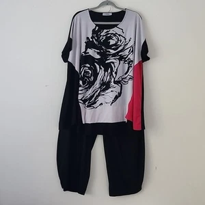 Alembika Floral Black White Lantern Pants &  Trapeze Top set L - Picture 1 of 7