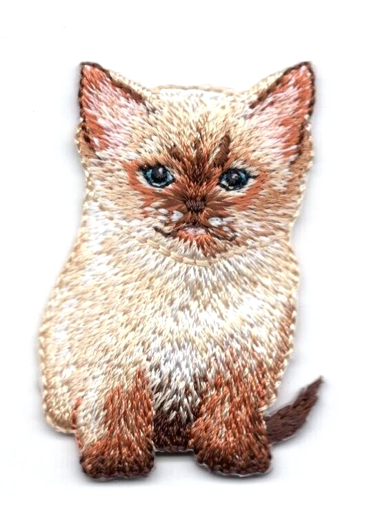 KITTEN Iron On Patch Cat Kitty Pets Tabby  - Image 1 of 1