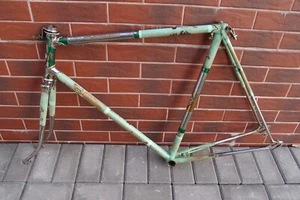 frame set La Taureau Champion du Monde Tour The France 1950's Agrati Magistroni - Picture 1 of 24