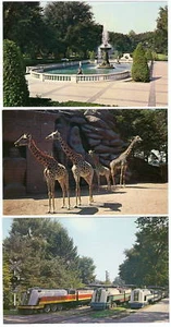 Lote de 6 postales ZOO Belle Isle DETROIT MI PARA NIÑOS - Imagen 1 de 5