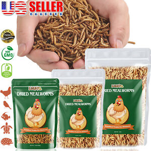 Us Bulk Dried Mealworms for Chickens Treats Duck Feed Wild Birds Organic Non-Gmo