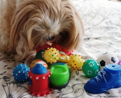 10 X MINI SMALL SQUEAKY TOYS FOR PUPPIES SMALL AND EXTRA SMALL DOG BREEDS - Изображение 1 из 4