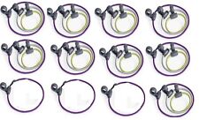 Quirky BND-1-CW1 (Bandits) Bungee Bands with Hooks Pack of Ten S M L