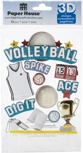 3er Pack - Papierhaus 3D Aufkleber 4,5"X7,5" - Volleyball - STDM64E - Bild 1 von 3