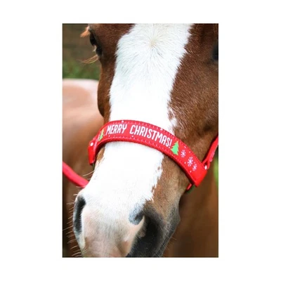 HY EQUESTRIAN SET COLLARE NATALIZIO E CORDA DI PIOMBO ROSSO XMAS PONY COB COMPLETO *SPEDIZIONE GRATUITA*