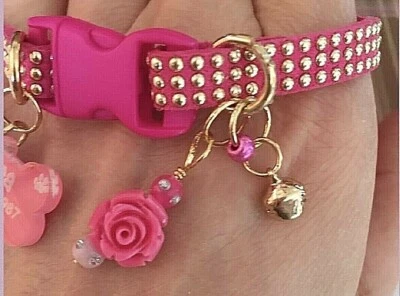 Collars for Dog and Cats collares para Perros y Gatos. Small Pets.  - Image 1 of 4