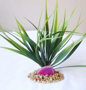 6" Wild Grass Bush aquarium Plant & PINK AGATE Geode Slice 825PK, Stone base, Re - Picture 1 of 9