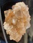 68-Gram Citrine / Ametrine Spirit Cactus Crystal Cluster/ From South Africa
