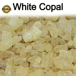 White Copal Resin - 100% Pure Natural Incense Gum Dammar Granular Rock Grade A - Picture 1 of 6