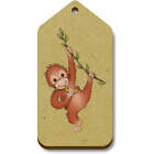 Tagi 'Baby-Orangutan' (TG029470)