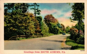 POSTKARTE GRUSS AUS SOUTH AUBURN PENNSYLVANIA - Bild 1 von 2