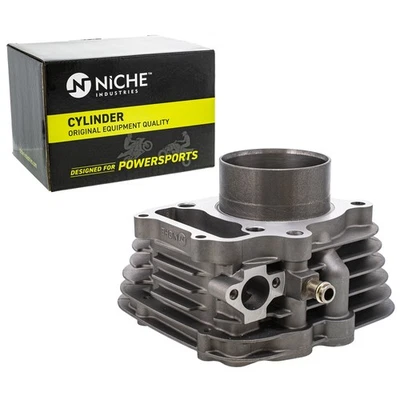 Нишевый цилиндр двигателя 300 куб. см 74 мм для Honda Sportrax 300 TRX300X 12100-HM3-L00 - Изображение 1 из 4