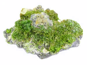 TOP Pyromorphite - Saint-Salvy Mine, Languedoc, France - 3,5 x 2,5 x 1,3cm - 12g - Picture 1 of 6