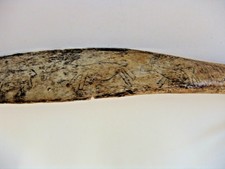 Plains Coup Stick or Dance Wand-Rib Bone