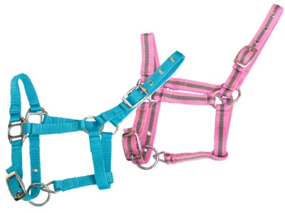 Fohlenhalfter Nylon - Bild 1 von 3