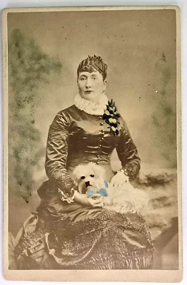 Tarjeta de gabinete antigua rara foto teñida a mano perro mujer victoriana moda plana NY Foto 1 de 3